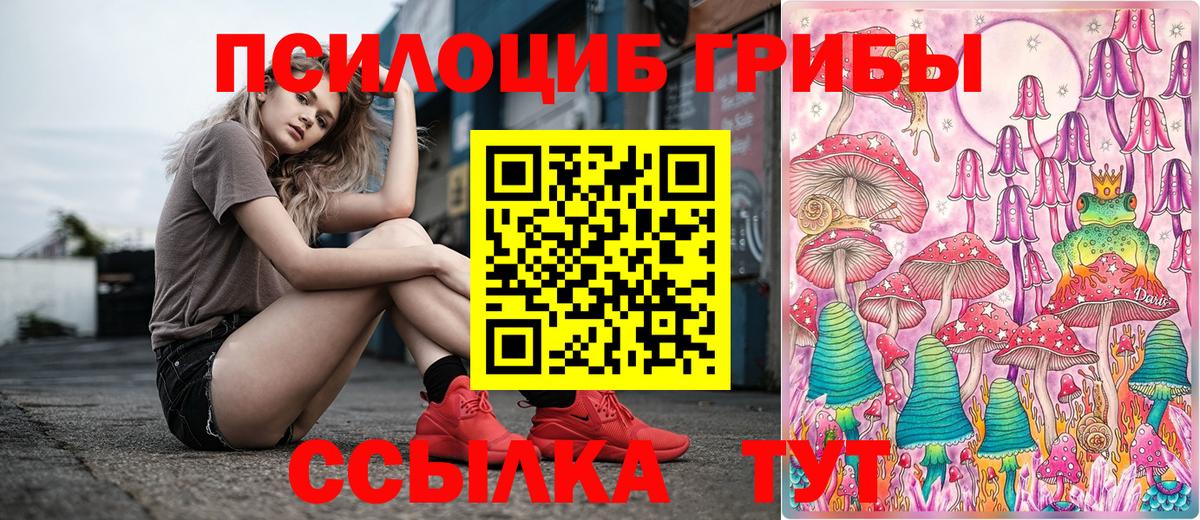 Галлюциногенные грибы Cubensis  Вход с VPN  Бутурлиновка  купить наркотики цена  Псилоцибиновые грибы ЛСД 