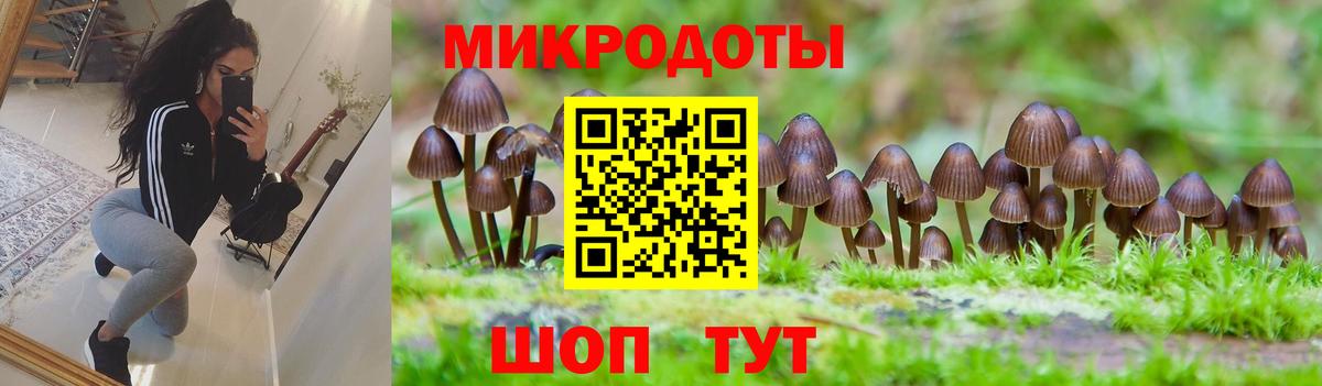 Псилоцибиновые грибы мухоморы Бутурлиновка