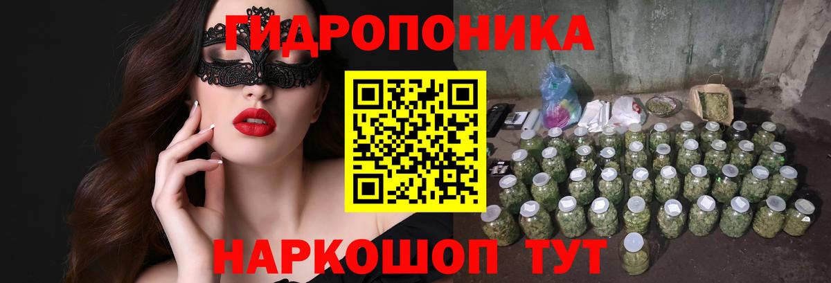 Бошки Шишки конопля Бутурлиновка